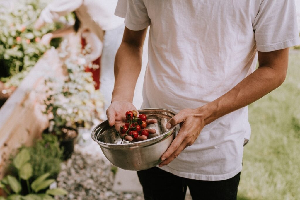 Comment puis-je rendre mes tomates plus fortes ?