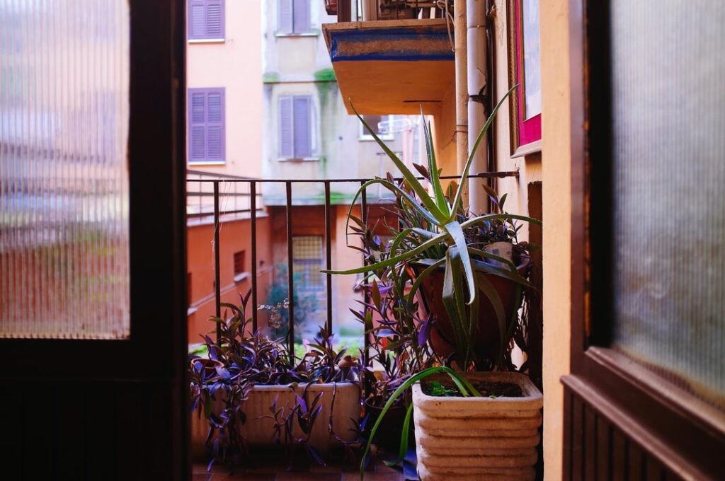 Puis-je avoir des plantes sur mon balcon ?