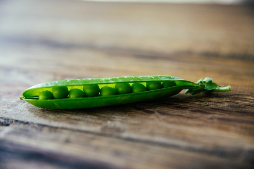 Quel légume pousse le mieux à l'ombre ?
