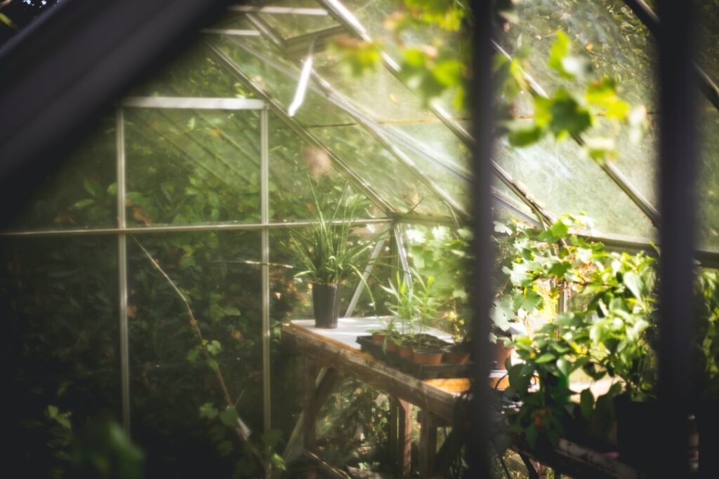 Comment agrandir un petit jardin ?