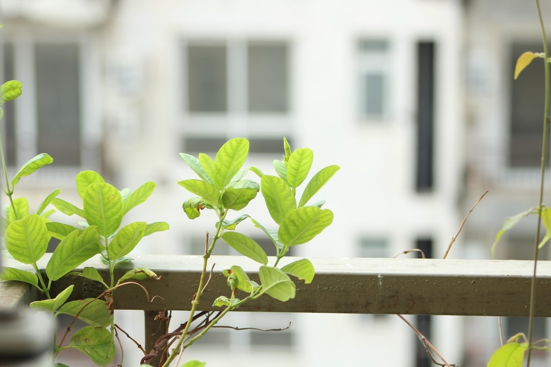 Comment connaître la taille de mon jardin ?
