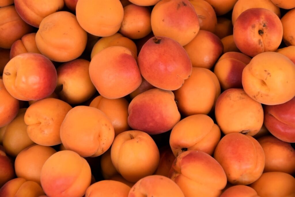 Comment puis-je obtenir des abricots?