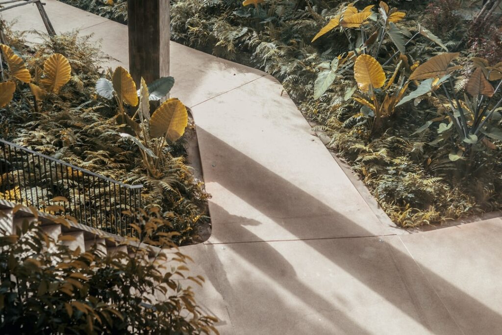 Quelles plantes peut-on cultiver à Terrace ?