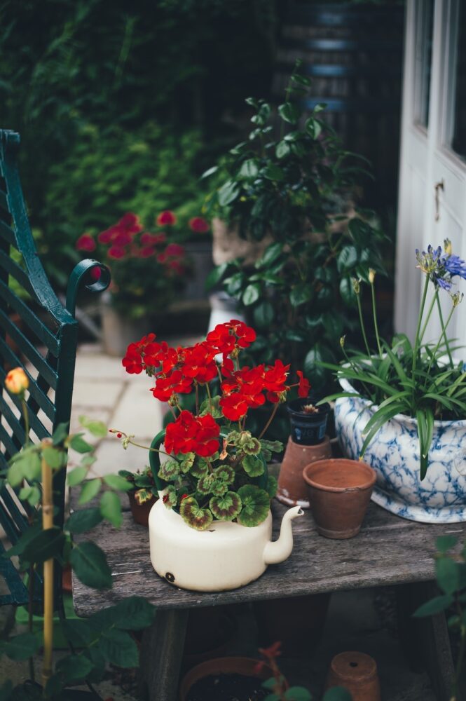 Comment consommer les cornichons du jardin ?