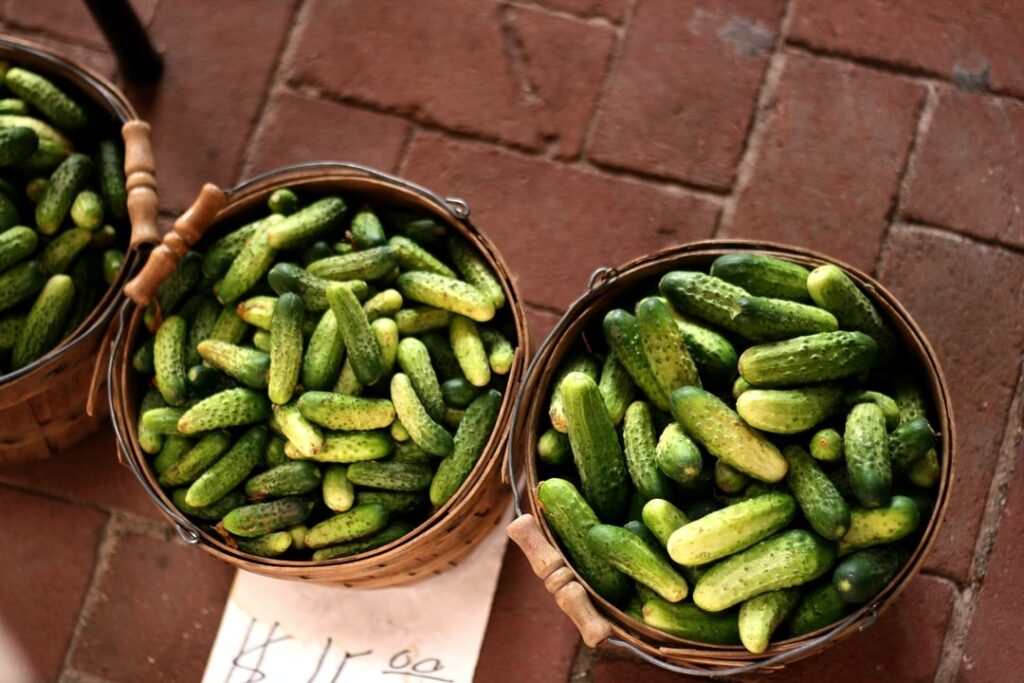 Comment sa pousse les cornichon ?