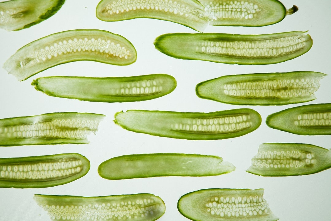 Comment se cultivent les cornichons ?