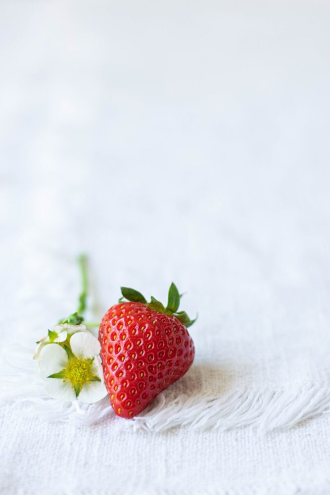 Comment s'occuper d'un plant de fraise ?