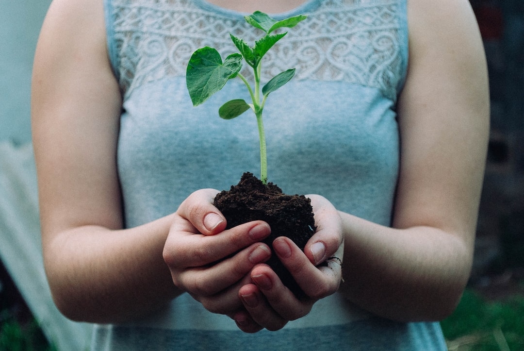Quand planter son jardin au Québec ?