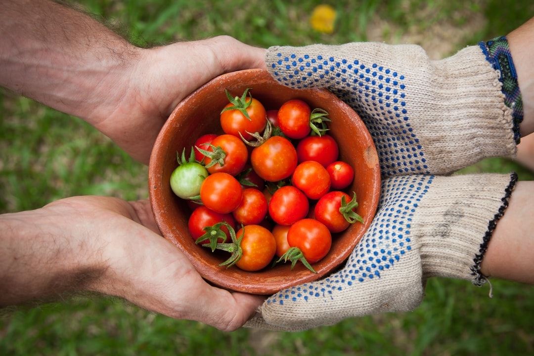 Quel est le but de l'agriculture ?