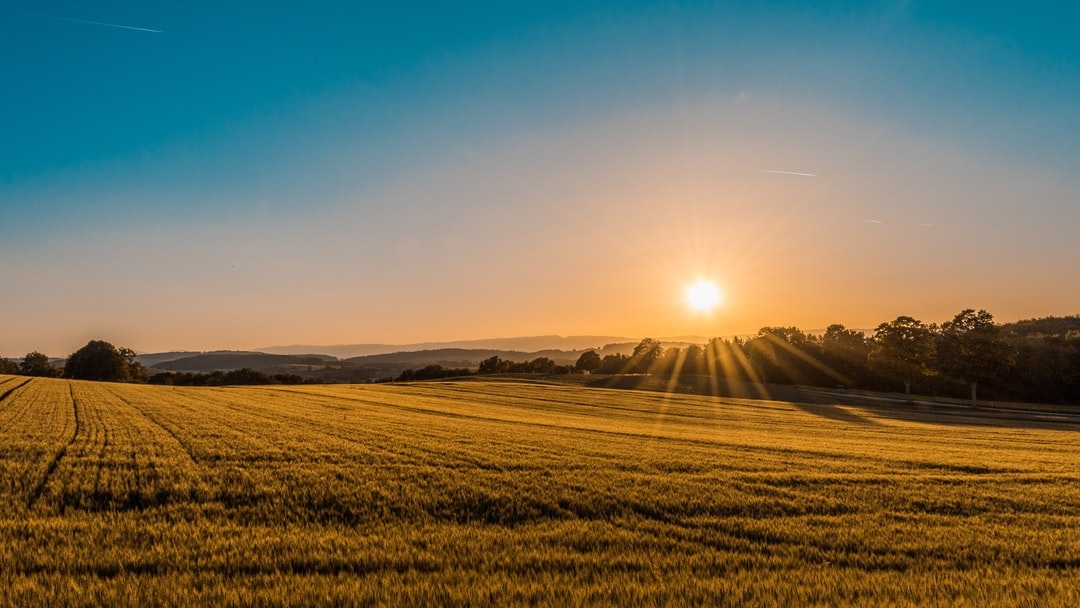 Quel est l'objectif de l'agriculture durable ?