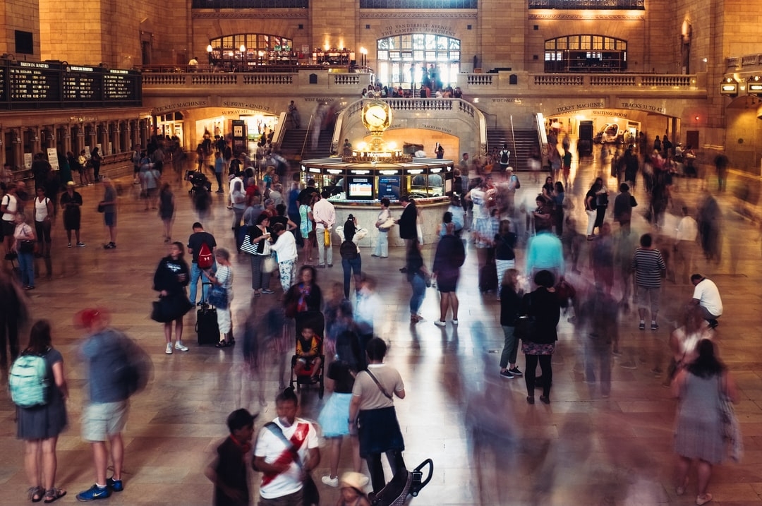 Quelle est la durée de vie des fraisiers ?