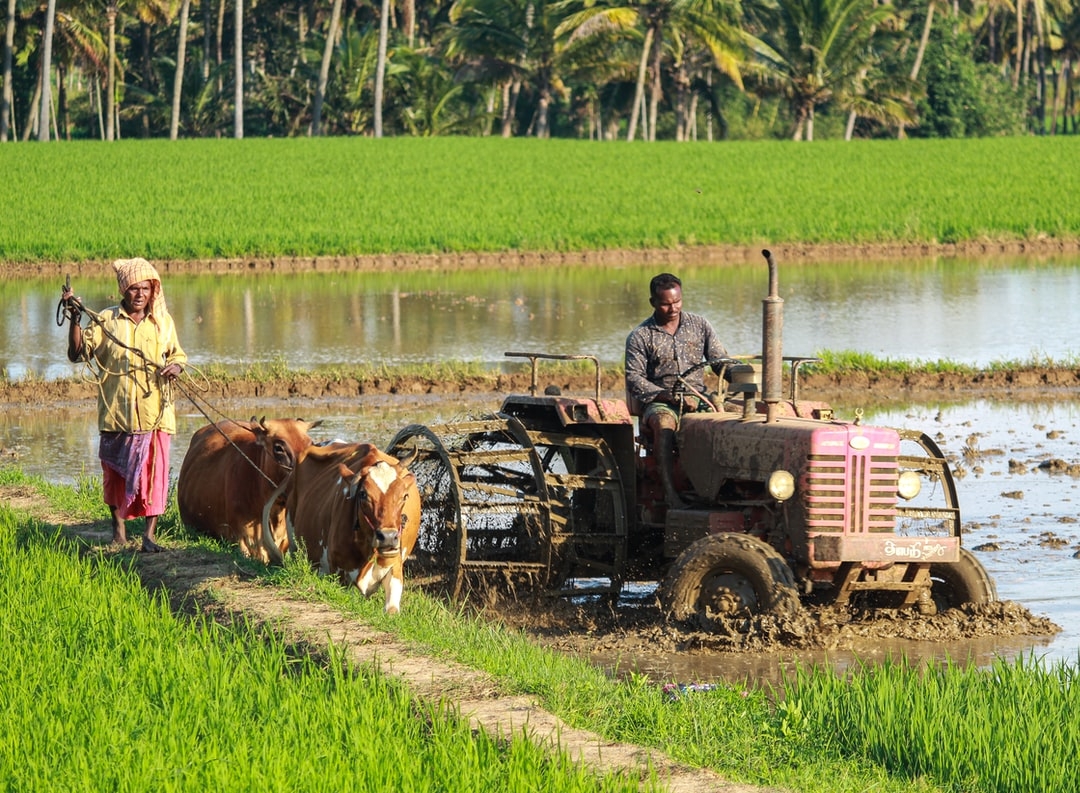 Quelles sont les normes de l'agriculture biologique ?