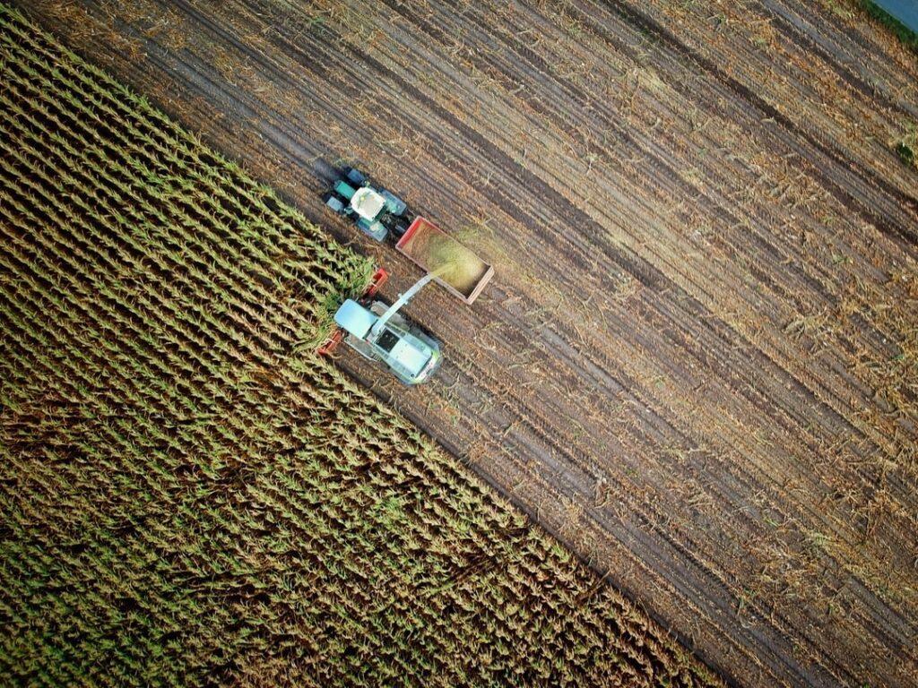 Quels sont les inconvénients de l'agriculture ?
