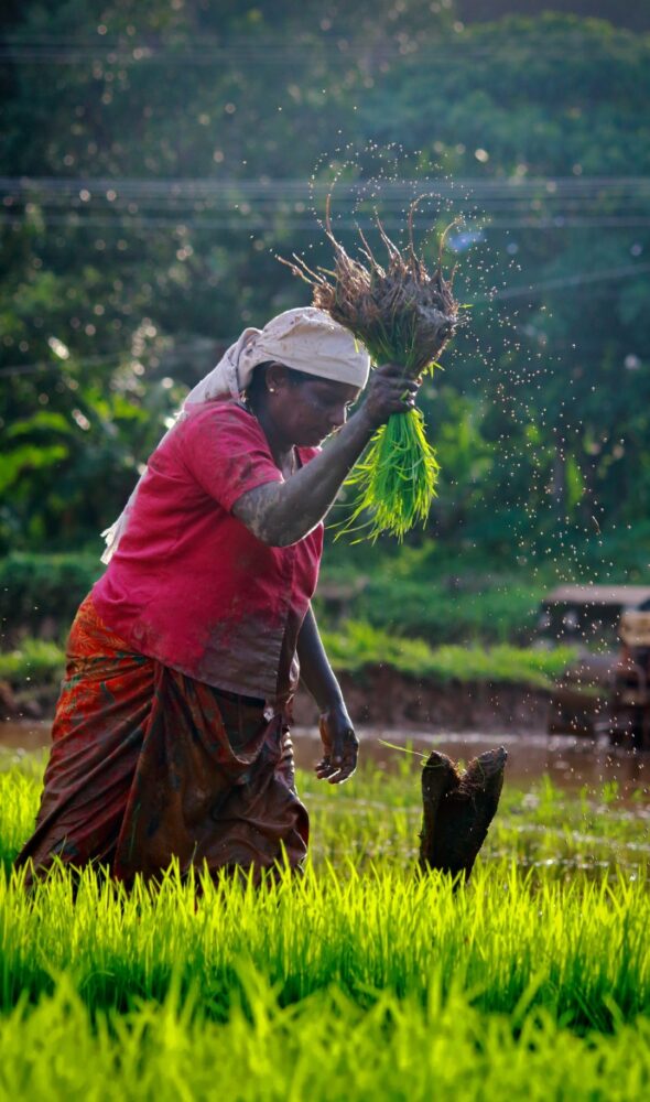 Quels sont les inconvénients de l'agriculture ?