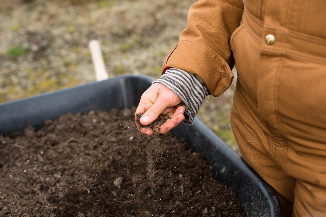 Quels sont les inconvénients de l'agriculture biologique ?