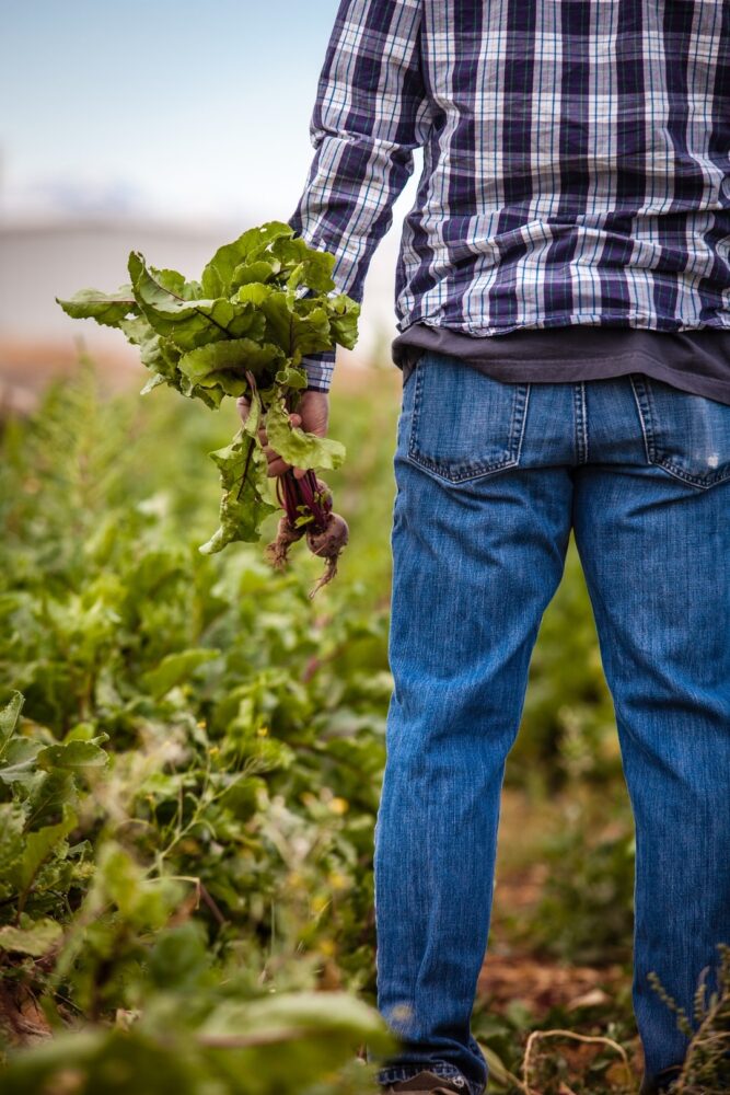 Qu'est-ce qu'un agriculteur ne peut plus faire en bio ?