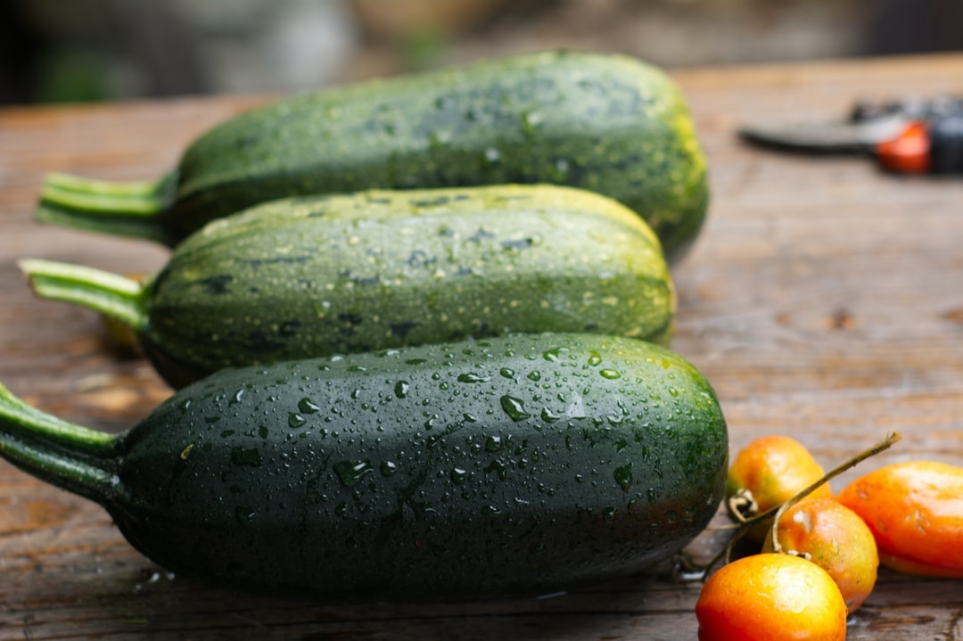 Comment ça marche la permaculture ?
