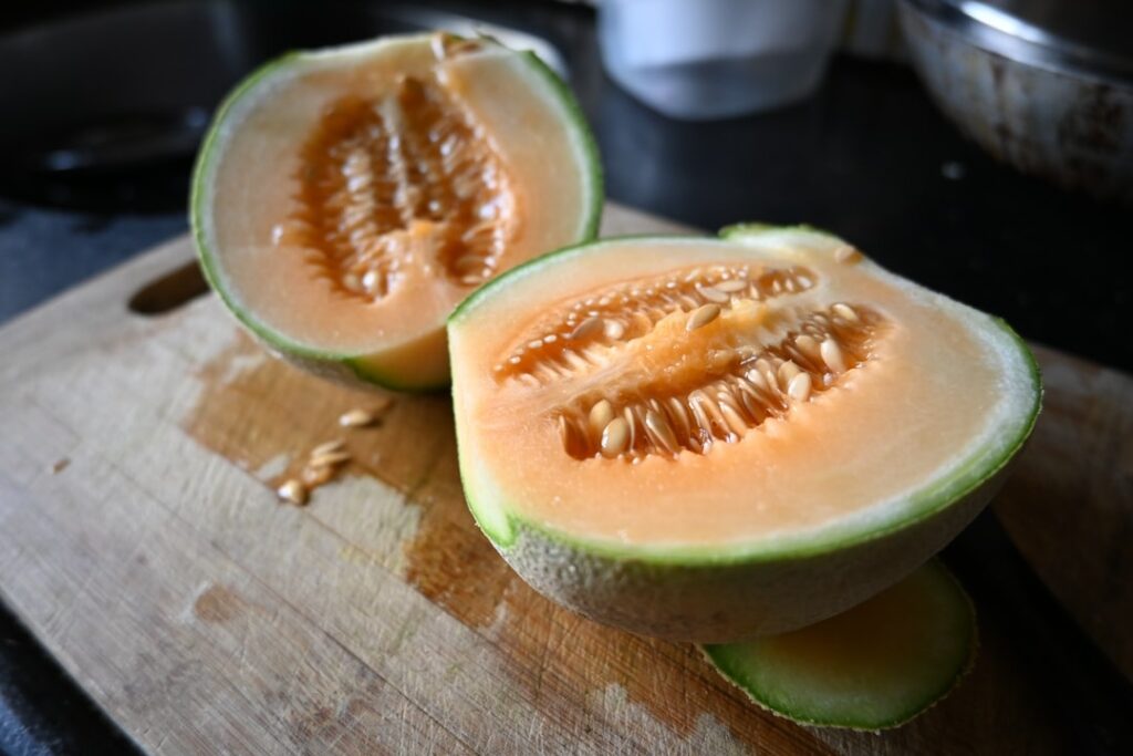 Comment fertiliser le melon ?