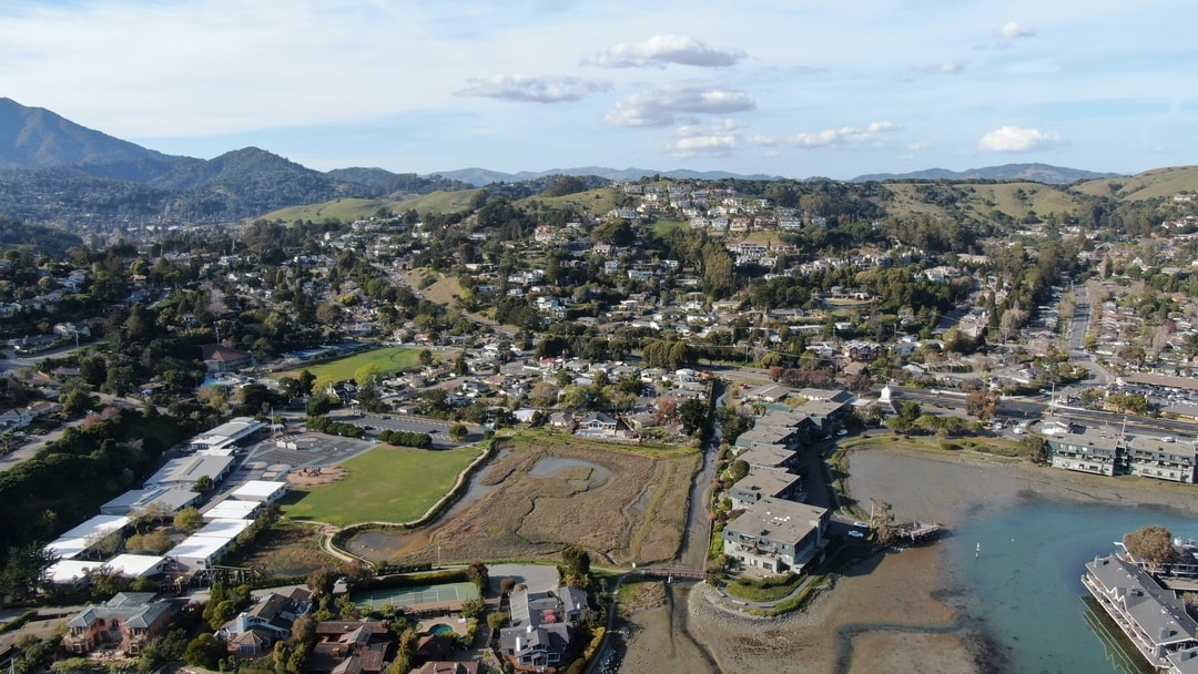 Comment le fraisier peut se reproduire de façon asexuée ?