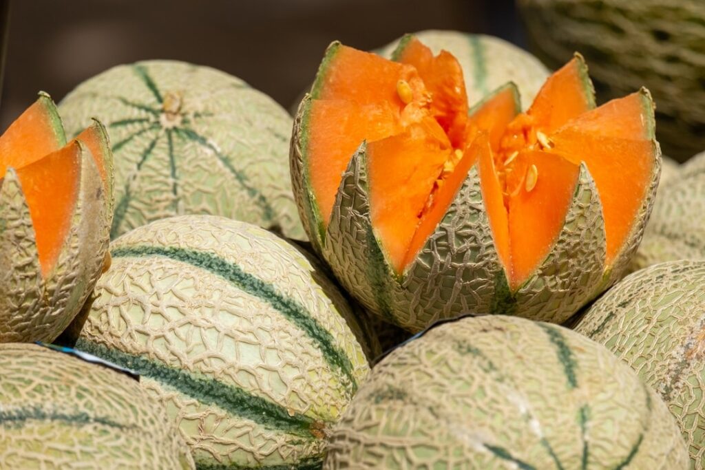 Comment savoir si le melon est mûre ?