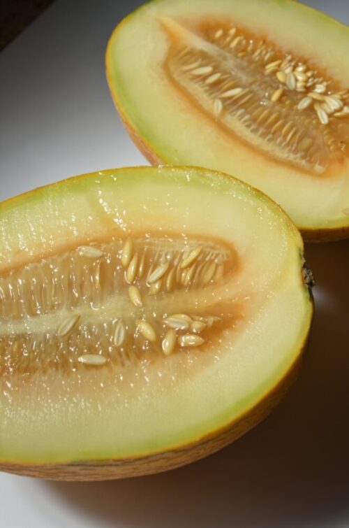 Comment savoir si un melon est mûr ?