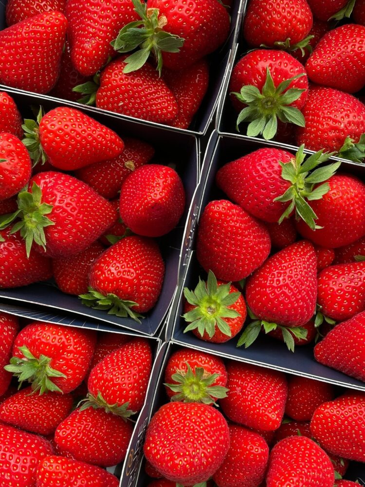 Pourquoi les fraises ne poussent pas ?