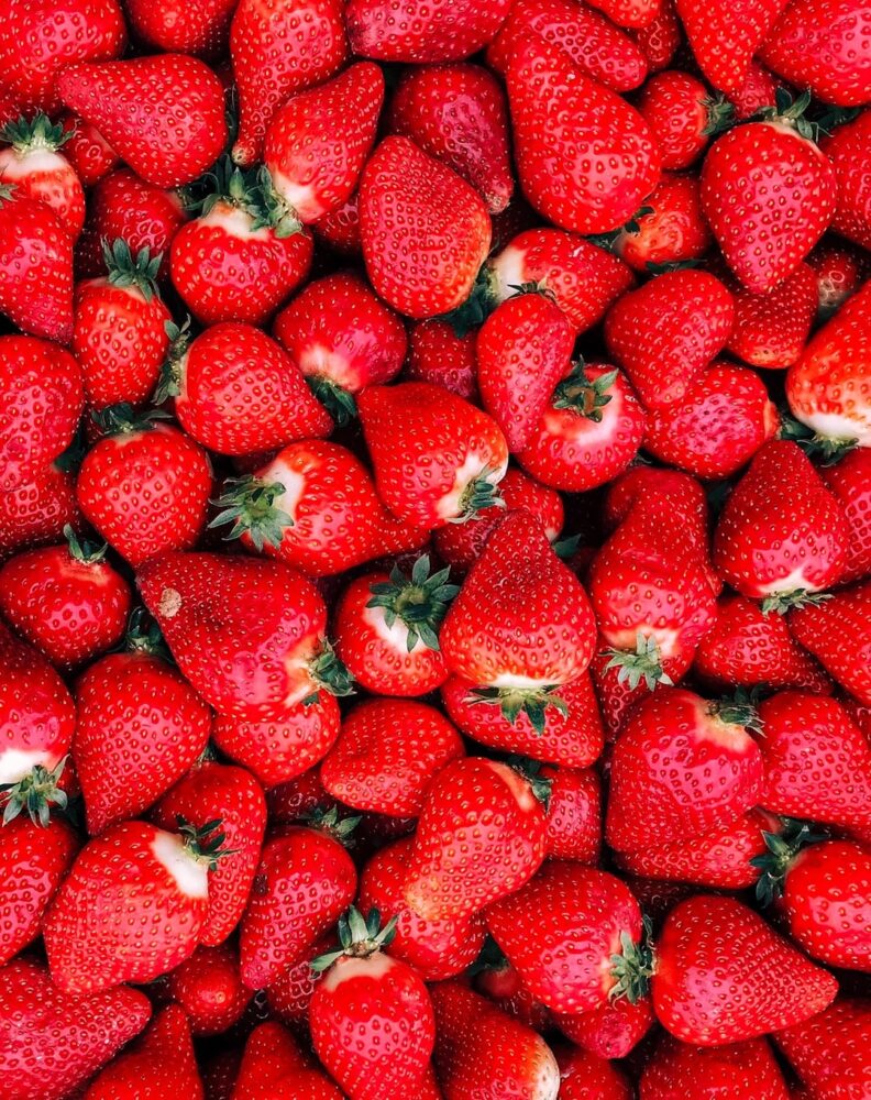Quand planter les plants de fraises ?