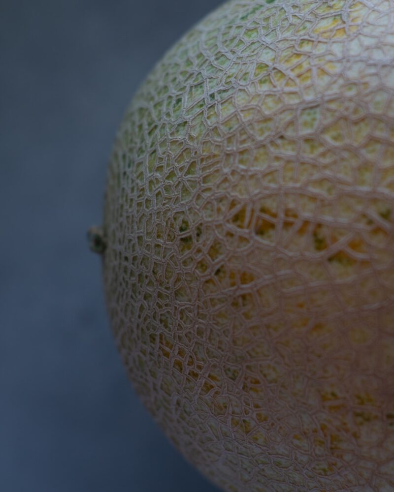 Quel est le melon le plus sucré ?