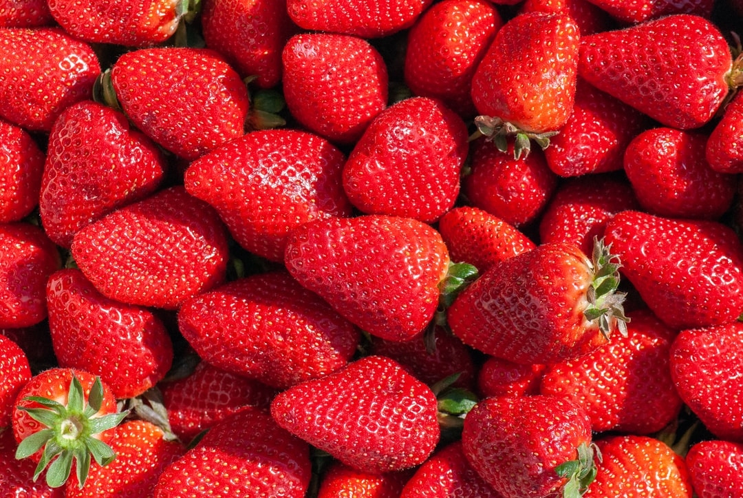 Quelle est la fraise la plus acide ?