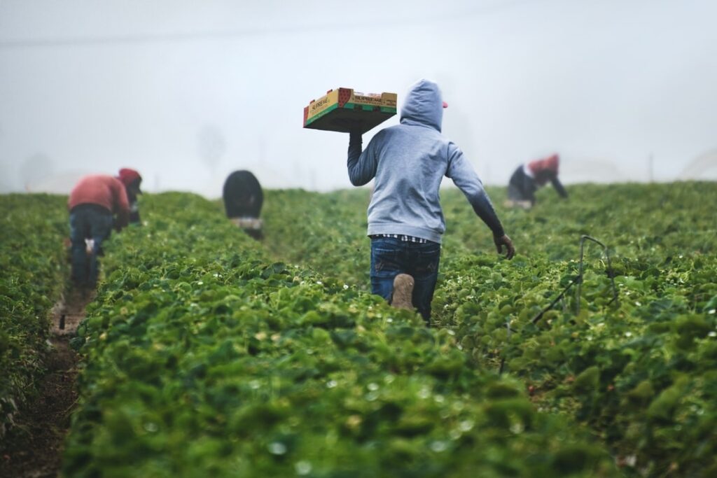 Quelle sera l'agriculture de demain ?