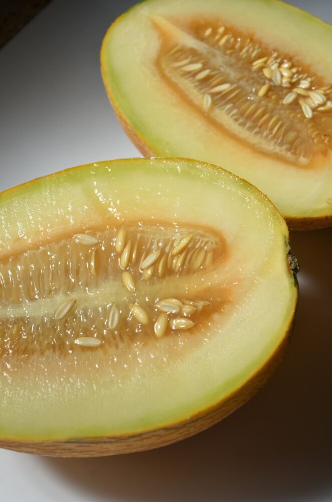 Quelle variété de melon planter ?
