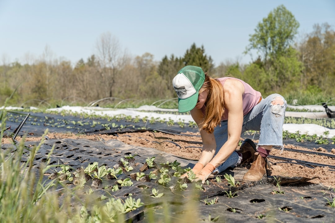 Quels sont les avantages et les inconvénients de l'alimentation bio ?