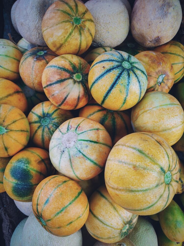 Quels sont les différents types de melon ?