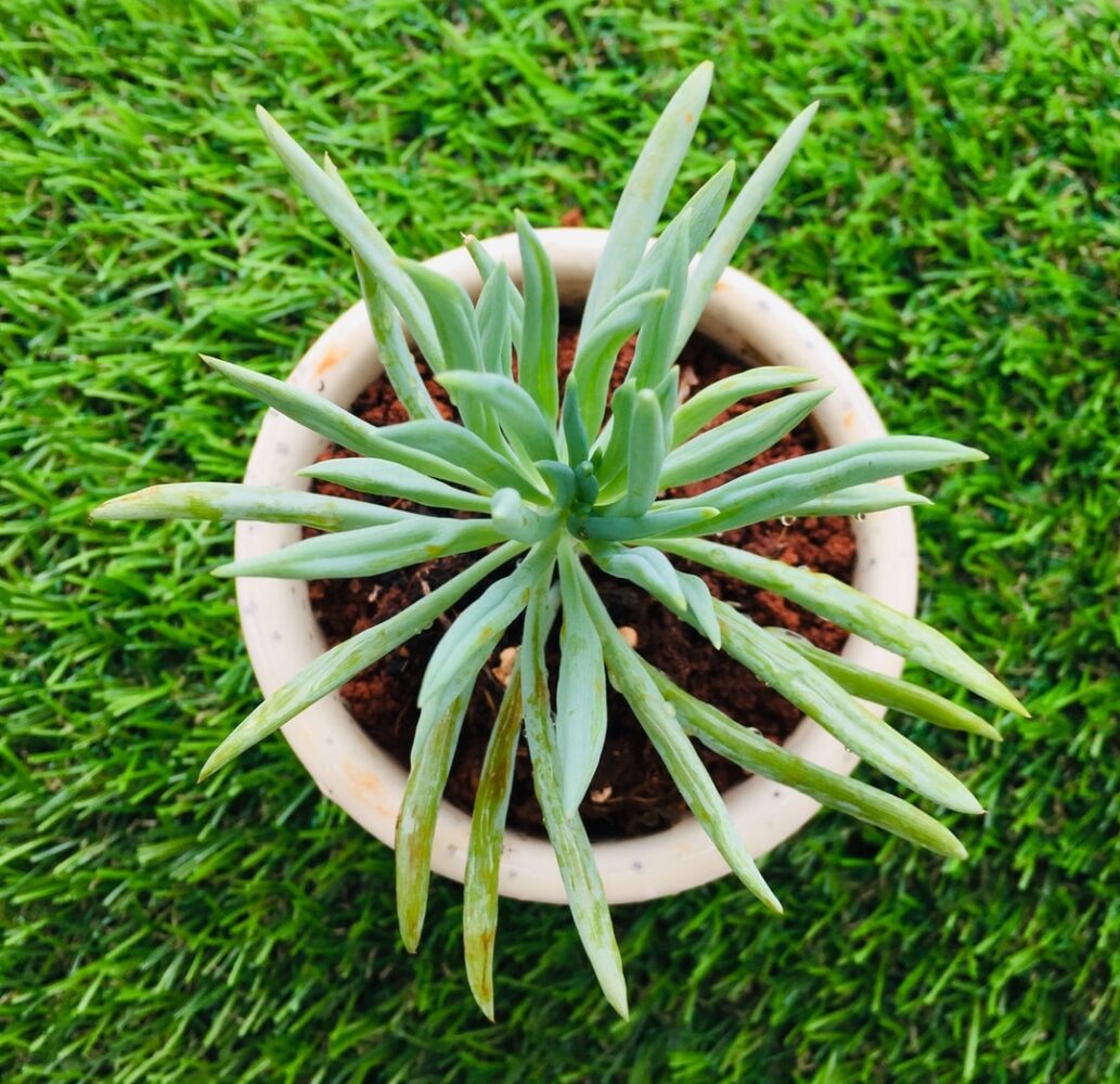 Quels sont les métiers de l'agriculture ?