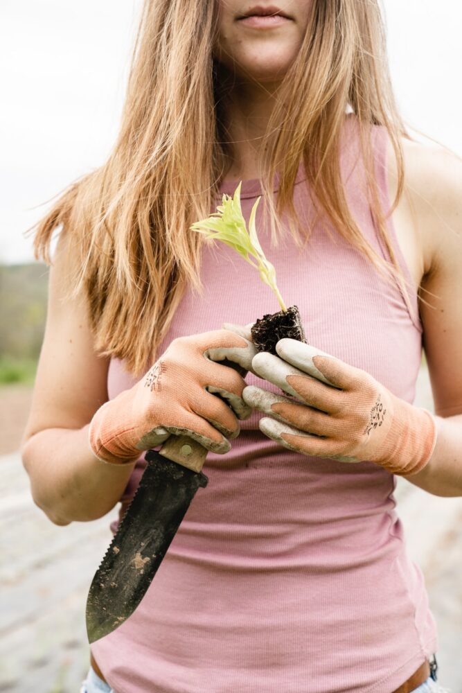 Qui contrôle les produits bio ?