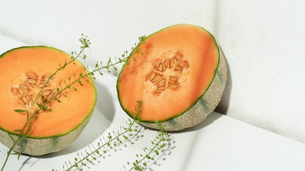 Comment bien arroser les melons ?