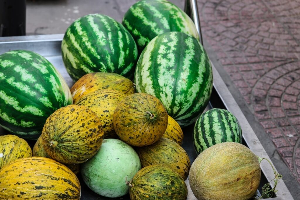 Comment faire pousser des plants de melon ?