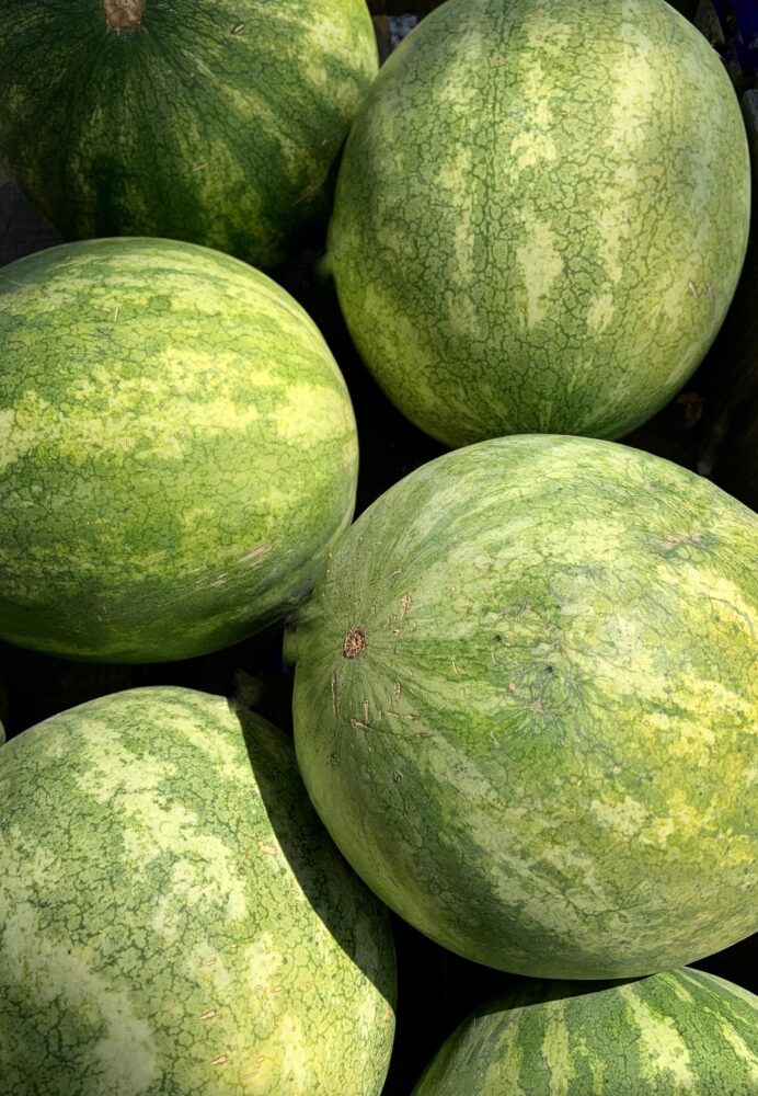 Comment rendre un melon sucré ?