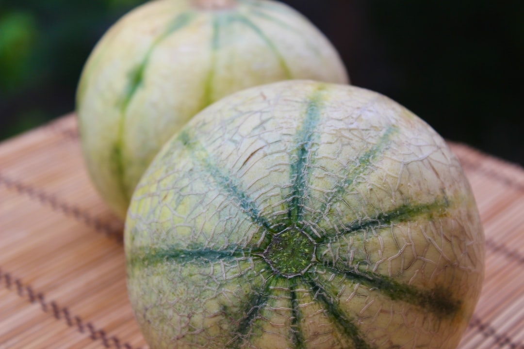 Quand et comment arroser les melons ?