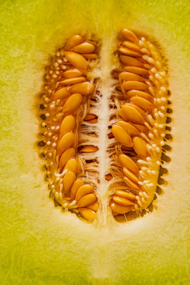 Quel est le fruit le plus riche en sucre ?