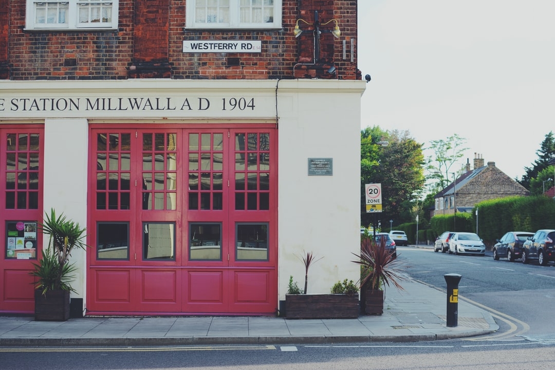 Quels sont les fruits toxiques pour les chiens ?